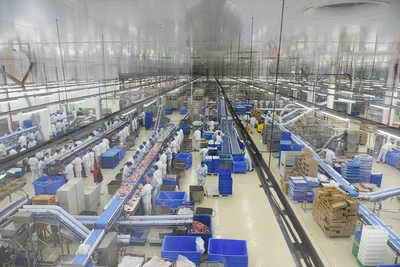 Рост производства индейки «Дамате» на 11%