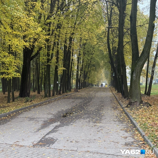 Источник: Сергей Петунин / YA62.RU