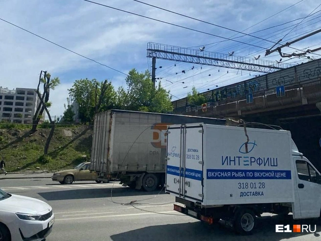 Источник: читатель E1.RU Кирилл