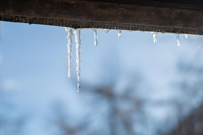 В Воронеже 8 Марта прогнозируют до +3 градусов