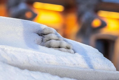 February frosts hit St. Petersburg