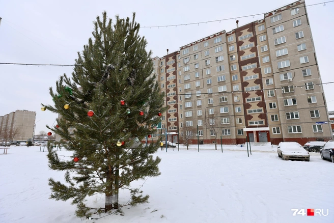 Днем украшение двора, конечно, не такое эффектное | Источник: Наталья Лапцевич