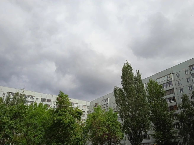 В Ульяновске на день останется без воды село пригородной зоны | Источник: Дмитрий Сильнов / 173. RU