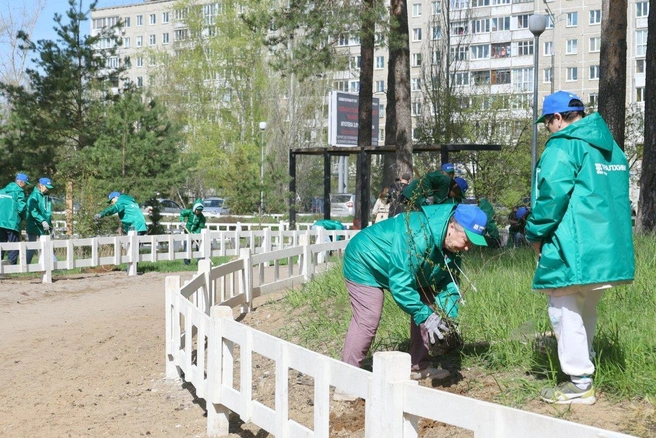 Высадка деревьев | Источник: АО «ОХК «Уралхим»