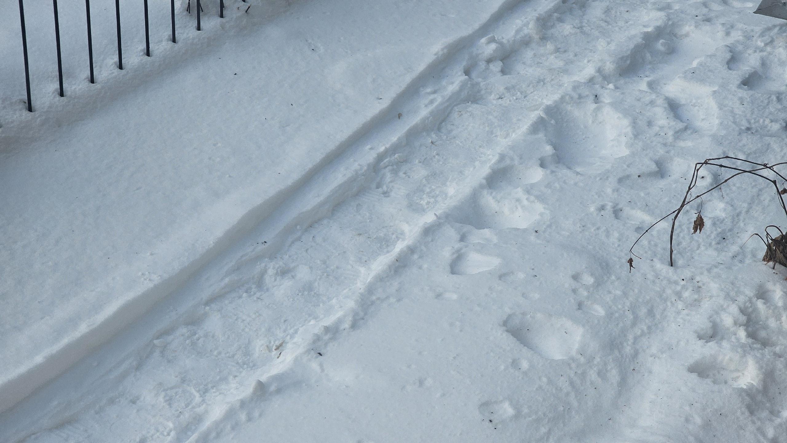 «Мы что, не люди?»: курганцы завалили соцсети жалобами на уборку снега