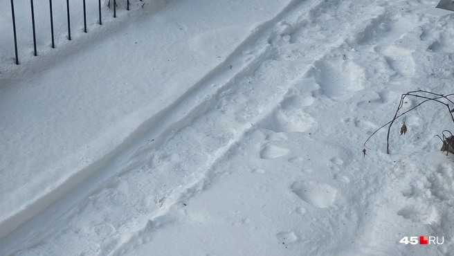 В Кургане разбираются с последствиями снегопадов | Источник: Дарья Никитченко / 45.RU
