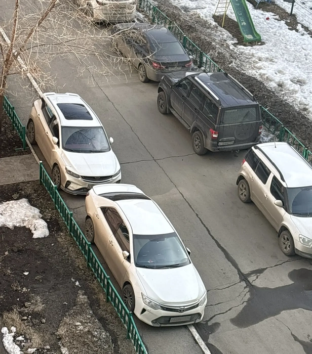 Два городских «марала» | Источник: читатель 74.RU