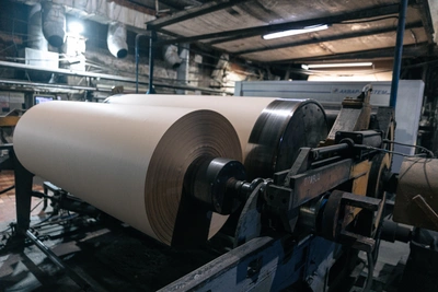 Парк для производства бумаги создадут в Новодвинске