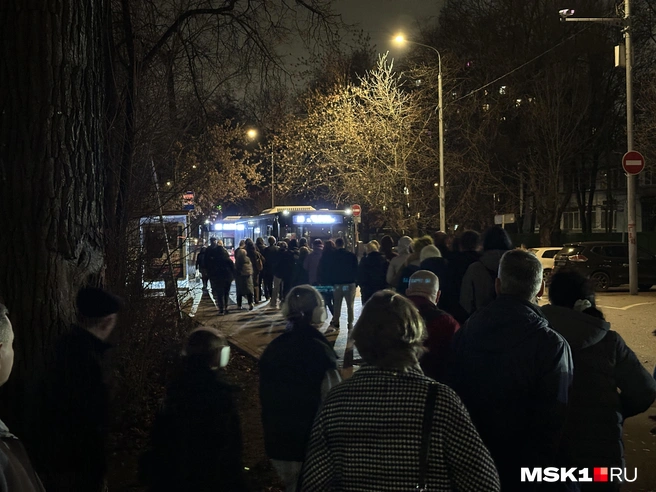 Кто-то влезет в маршрутку, кто-то нет | Источник: Андрей Кузнецов / MSK1.RU