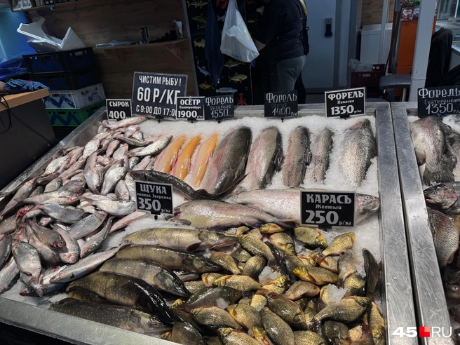 Источник: Юлия Король / 45.RU