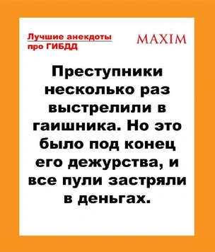 Лучшие анекдоты про ГИБДД
