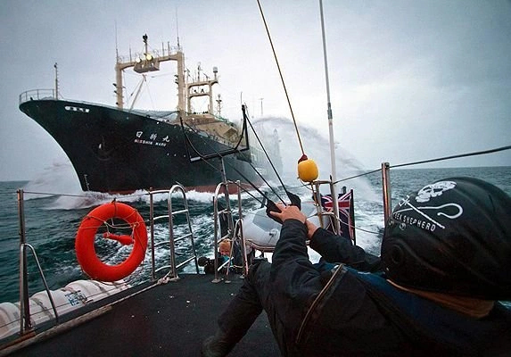 Пограничники задержали в Охотском море японское судно | ya62.ru