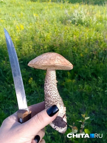 Источник: очевидец