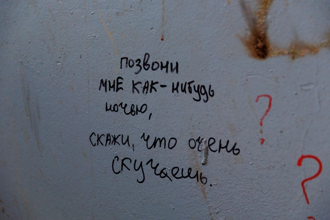 Источник: Ирина Шарова / 72.RU 