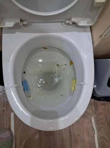 Канализационная вода каждый раз поднимается в туалете, когда соседи смывают у себя наверху | Источник: Ольга Карпова