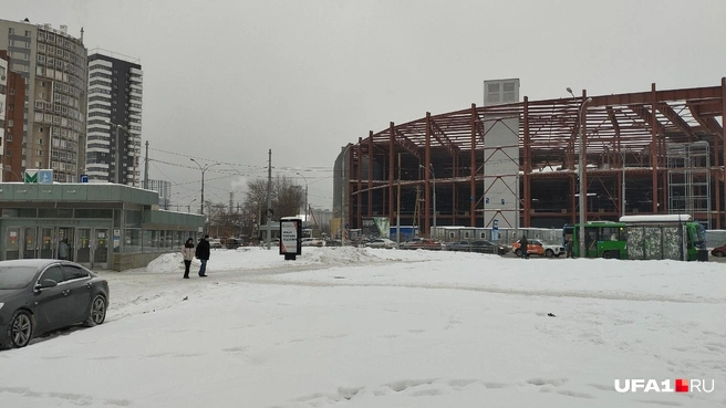 Ботаника | Источник: Антон Селиверстов / UFA1.RU