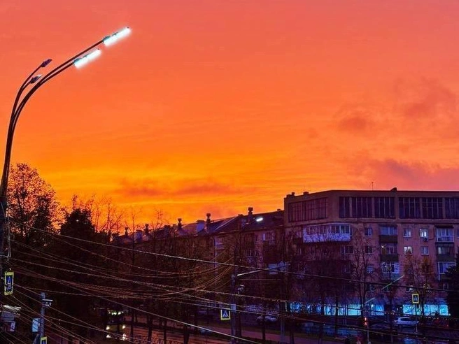 Глаз не оторвать! | Источник: читательница 76.RU Татьяна
