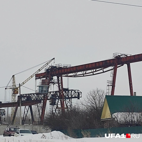 Местные «сиреноголовые» | Источник: Марина Каримова / UFA1.RU