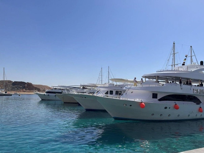 Источник: Виктория Чулюкина / MSK1.RU