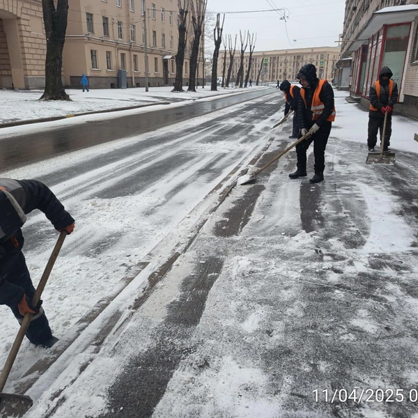 Источник: Комитет по благоустройству Санкт-Петербурга