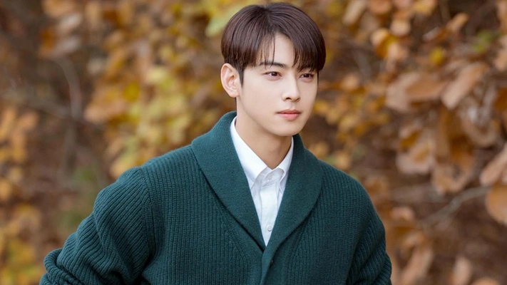 [quiz] Угадай дораму с Ча Ын У по кадру