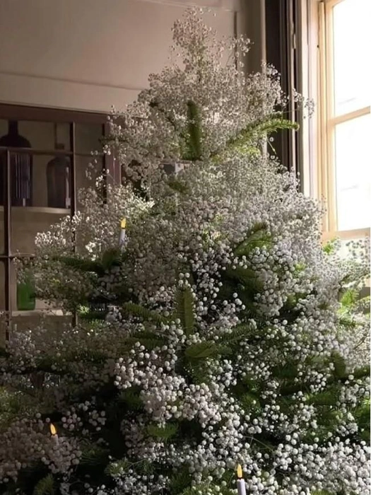 Источник: Пинтерест