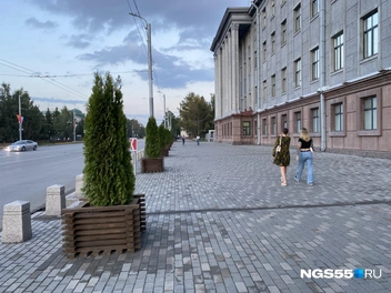 «Мобильное» озеленение встречается в городе всё чаще | Источник: Тамара Башаева / NGS55.RU