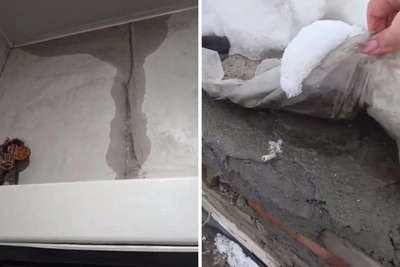 Четыре года квартиру на Красном проспекте топит водой