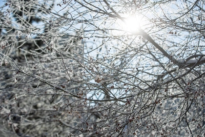 Алтайский край: метели, ветер и резкое похолодание