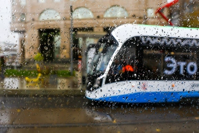 Погода в Москве на первой неделе весны: слякоть и дожди