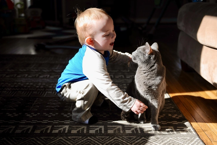 Отвлечься от серых будней и улыбнуться: 15 фотографий малышей и котиков🐱