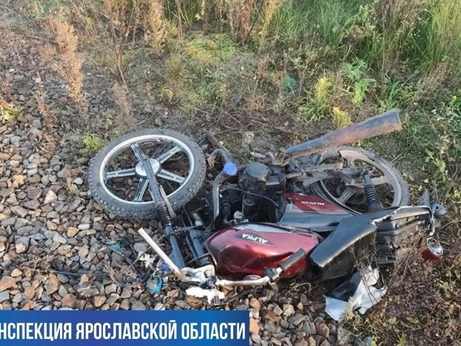 В ДТП погиб водитель мопеда | Источник: Госавтоинспекция Ярославской области / Telegram