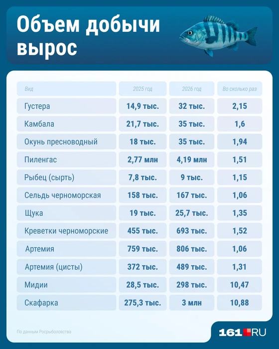 Источник: Серафима Пантыкина / Городские медиа