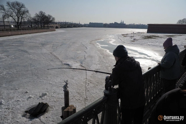 Петербург вышел загорать. Мартовское солнце выгнало горожан к воде | Источник: Михаил Огнев / FONTANKA.RU