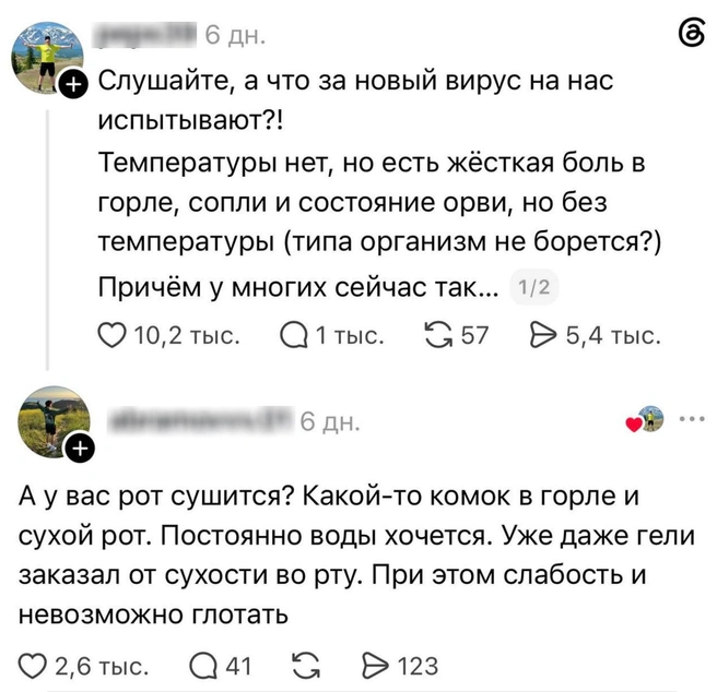 Россияне жалуются на новый вирус в соцсетях | Источник: Threads (деятельность запрещена в РФ)