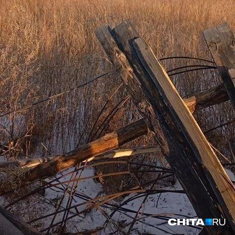 Источник: очевидец