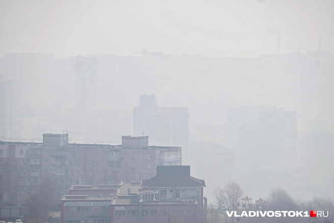 Источник: Елена Буйвол / VLADIVOSTOK1.RU