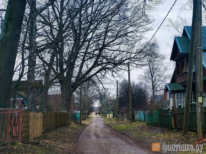 Источник: Ксения Потеева/"Фонтанка.ру"