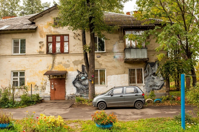 Кис-кис | Источник: Александра Савельева