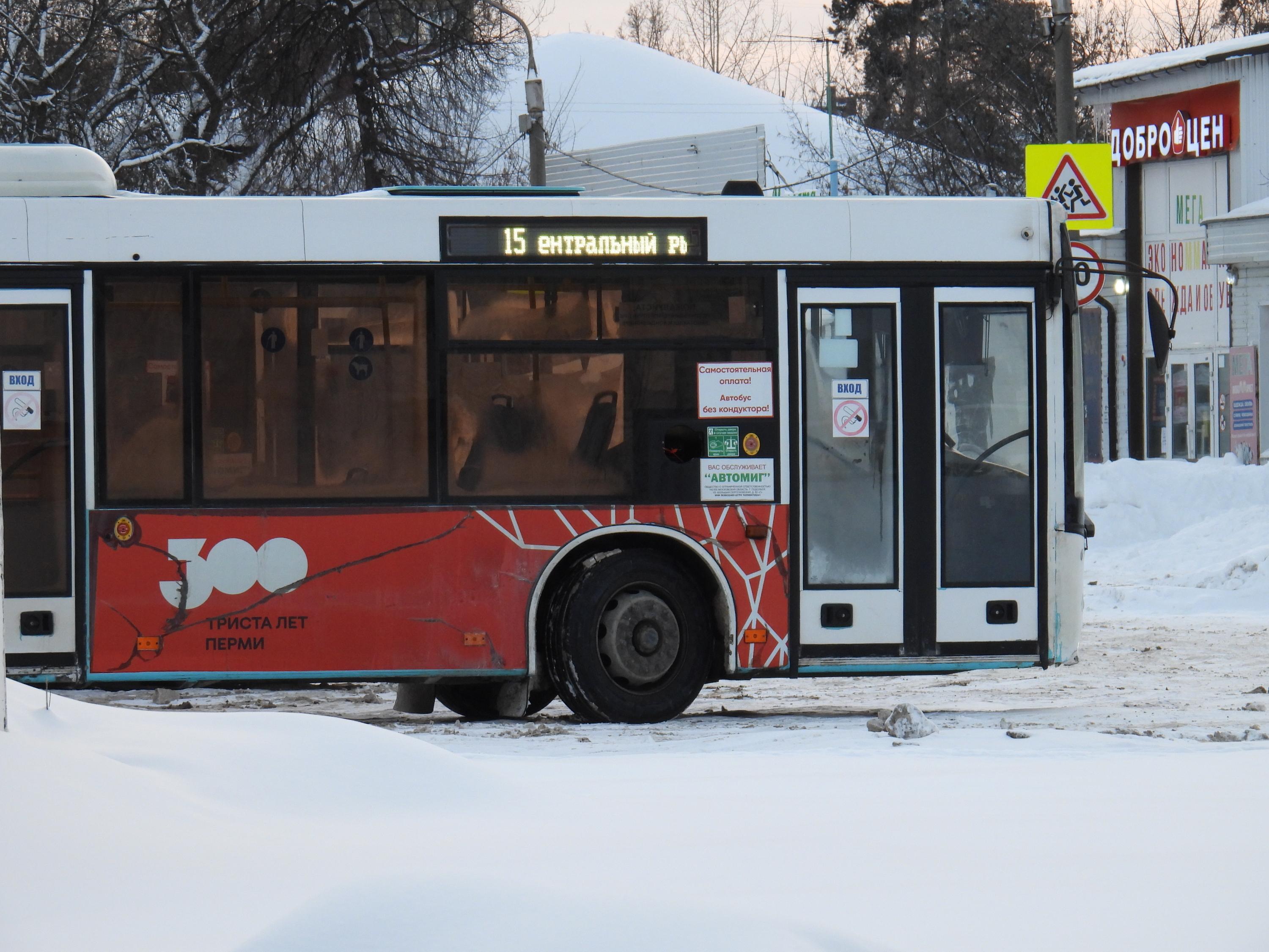 В Перми водитель автобуса зажал дверьми руку ребенку, у которого  образовался синяк из-за травмы - 4 февраля 2024 - 59.ру