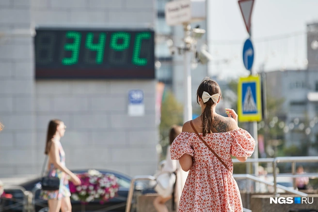 На улицу без необходимости в такую жару лучше не выходить | Источник: Александр Ощепков / NGS.RU