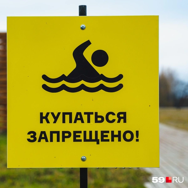 О запрете купания в пруду предупреждают таблички | Источник: Тимофей Калмаков / 59.RU