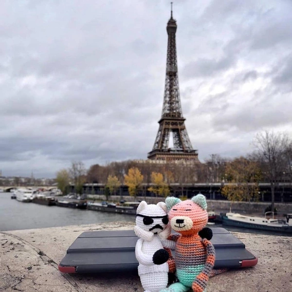 Штурмовик из «Звездных войн» путешествовал в компании кота | Источник: Koshambra's Workshop / Telegram