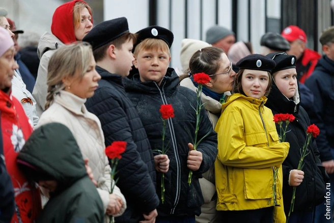 Источник: st.cherinfo.ru
