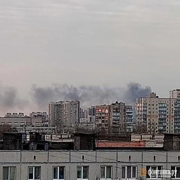 Вид из Калининского района | Источник: читатель «Фонтанки»