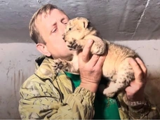 «Он был все время в сознании, держал льва за клыки»: сотрудница парка «Тайган» рассказала, в каком состоянии Олег Зубков