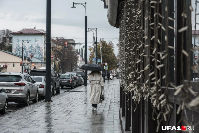 Поводов для радости не то чтобы много | Источник: Булат Салихов / UFA1.RU
