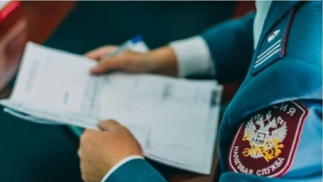 Оплатить задолженность можно онлайн | Источник: УФНС России по Забайкалью