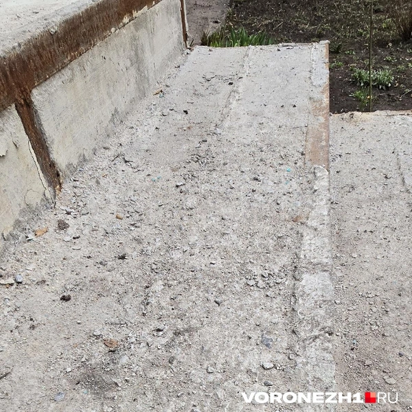 Источник: Читатель Voronezh1.ru