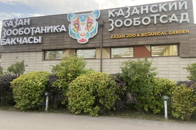 Двух слонят из Лаоса доставят в казанский зоопарк
